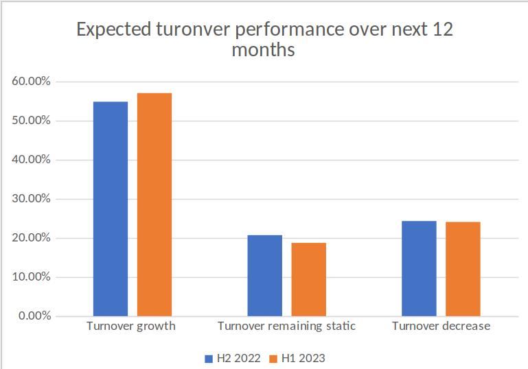 SME Expected Turnover Performance