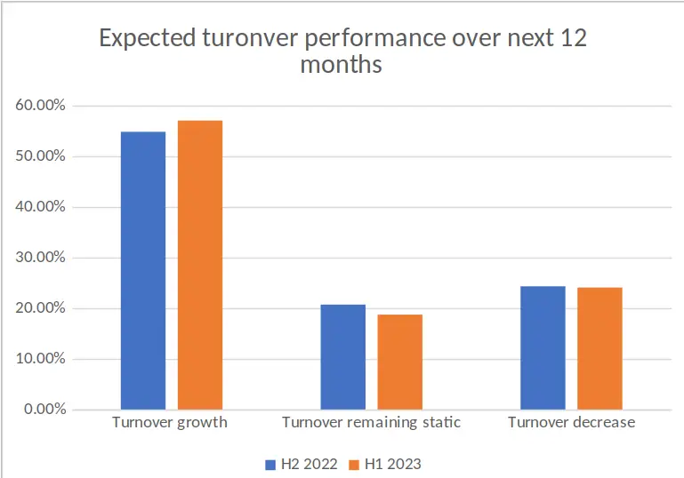SME Expected Turnover Performance